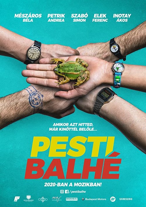 Pesti balhé