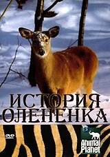 История олененка