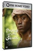 Prince Among Slaves