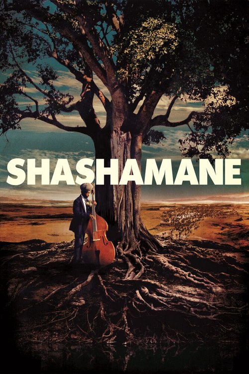 Shashamane