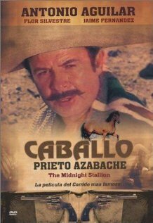 Caballo prieto azabache