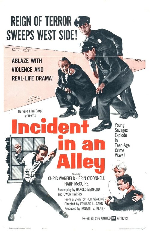 Incident in an Alley