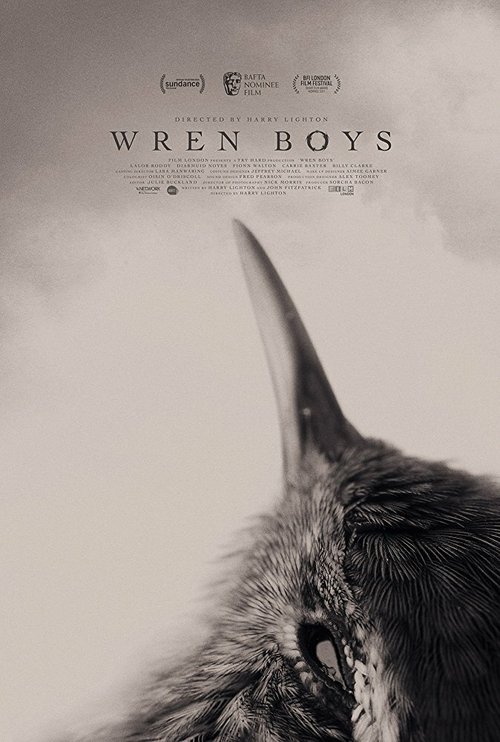 Wren Boys