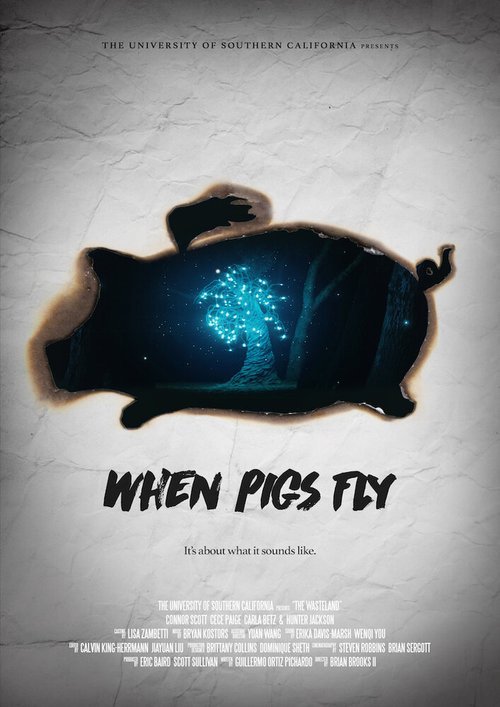 When Pigs Fly