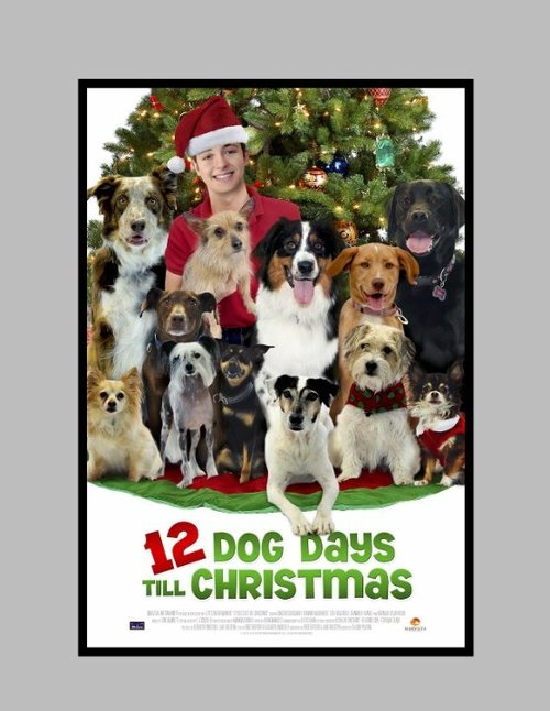 12 Dog Days of Christmas